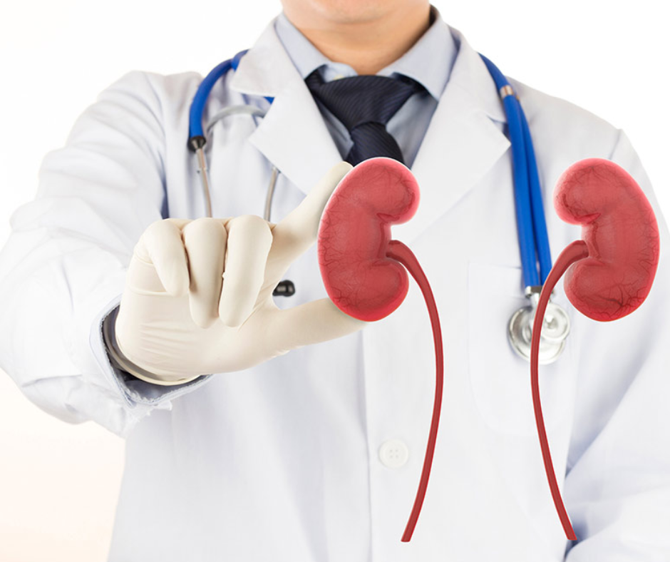 Kidney Doctor
