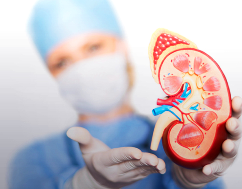 Nephrology