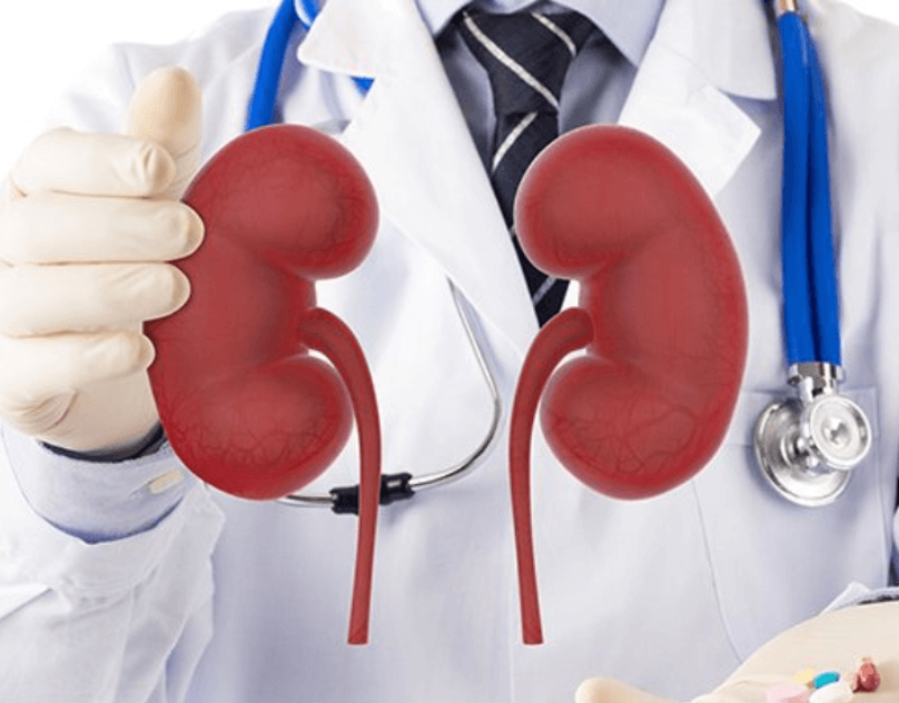 Nephrology