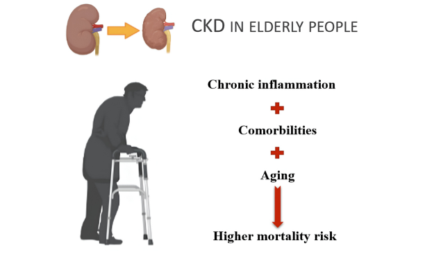 Kidney Health and the Aging Population