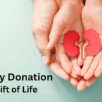 Kidney Donation: The Gift of Life—Understanding the Process and Inspiring Others to Donate